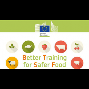 Illustration Logistique transport pour le congrès "Better Training for Safer Food" - Montpellier Du 9 au 14 septembre 2024